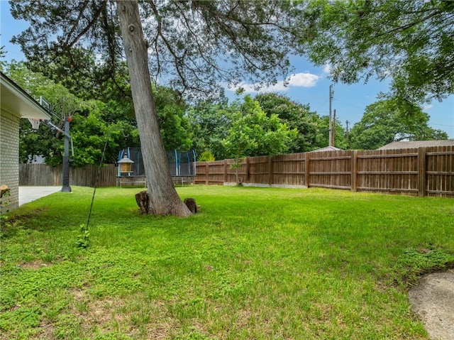 view of yard featuring a trampoline