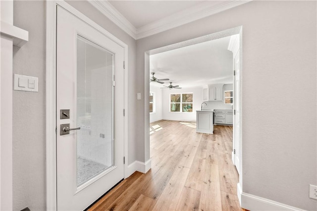 hall with ornamental molding, sink, and light hardwood / wood-style floors