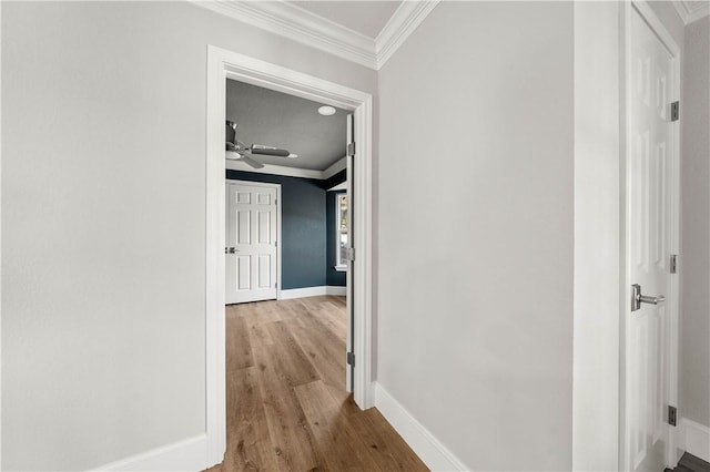 corridor featuring ornamental molding and light hardwood / wood-style flooring