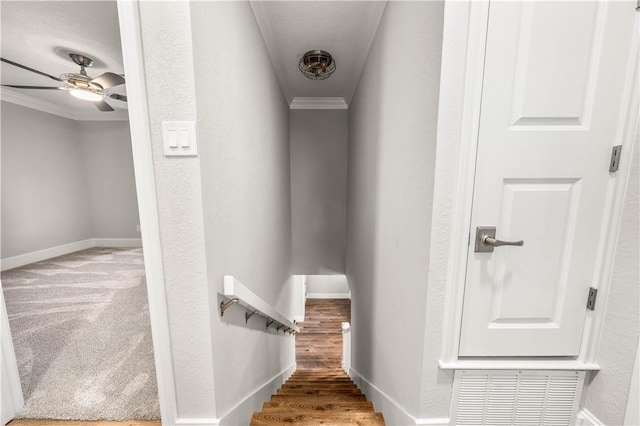 stairway featuring crown molding, ceiling fan, and carpet