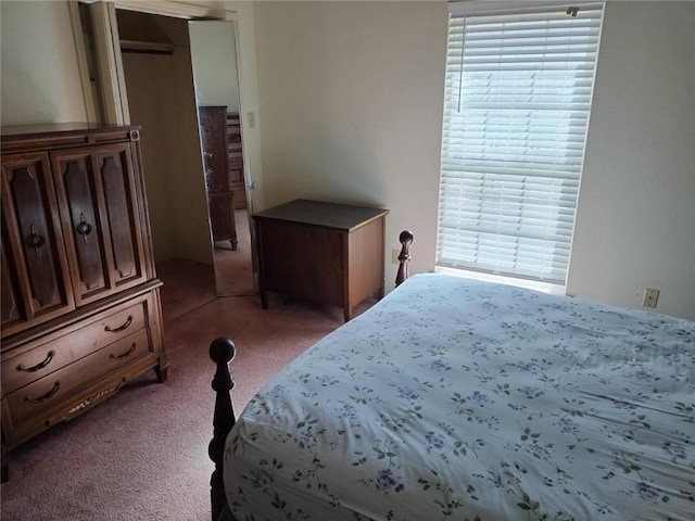 bedroom with carpet floors