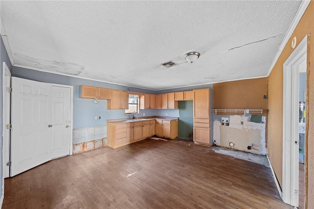 kitchen with light brown cabinets, sink, dark wood-type flooring, a textured ceiling, and ornamental molding