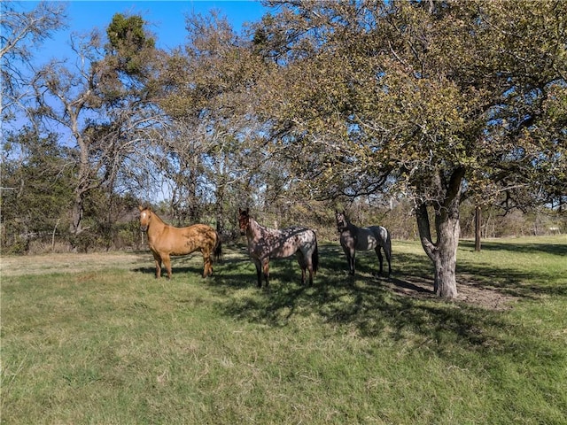 Listing photo 2 for TBD Roadrunner Trail, Riesel TX 76682