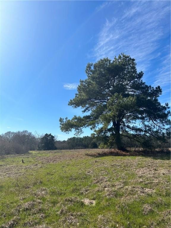 2133 Fm 2423, Grapeland TX, 75844 land for sale