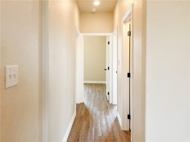 hall with light hardwood / wood-style flooring