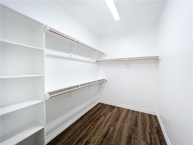 walk in closet with hardwood / wood-style floors