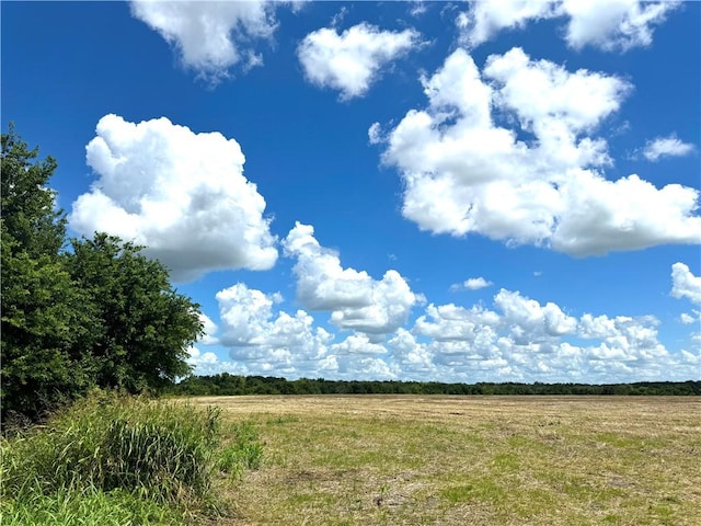 view of local wilderness with a rural view