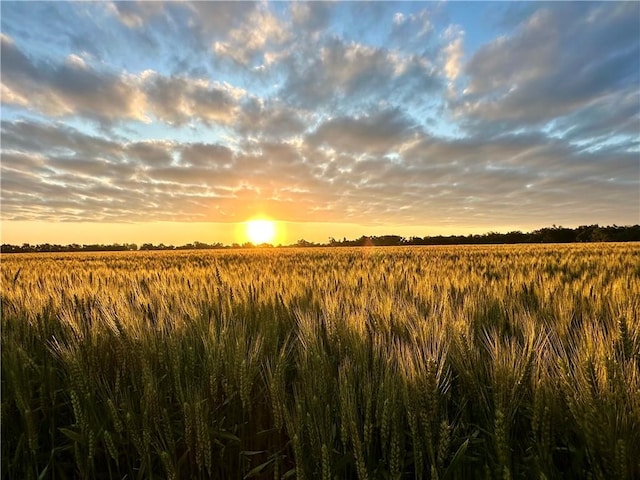 view of nature at dusk