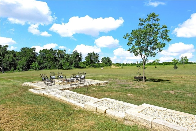 view of yard featuring a patio area