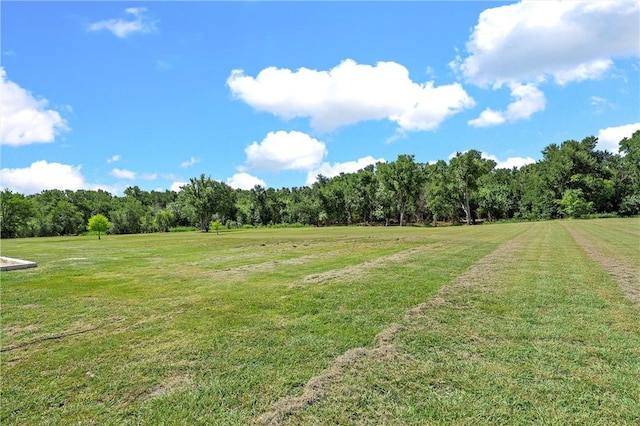 view of yard with a rural view