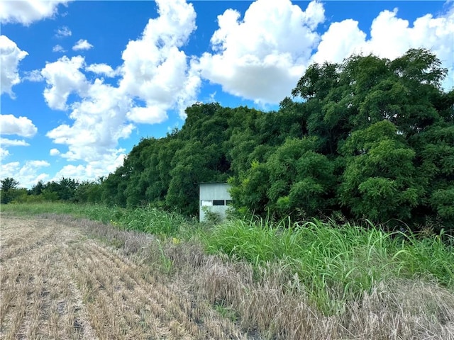 view of local wilderness