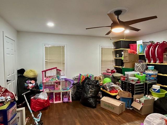 storage area with ceiling fan