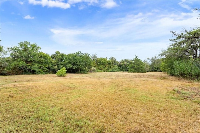 view of yard featuring a rural view