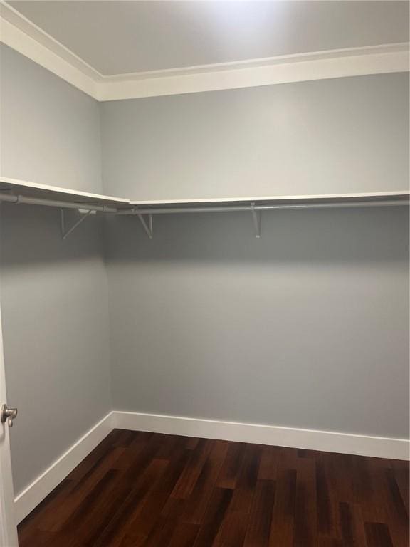 spacious closet featuring dark hardwood / wood-style floors