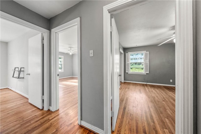 hall with hardwood / wood-style floors