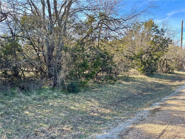 Listing photo 2 for 12154 Trailwood Dr, Whitney TX 76692