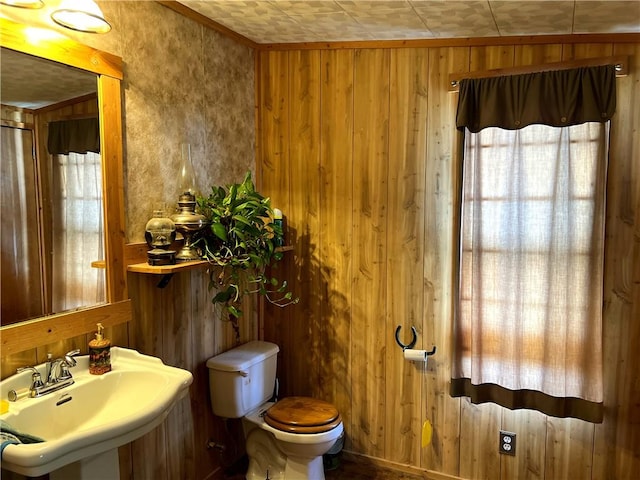 bathroom with toilet, sink, and wooden walls