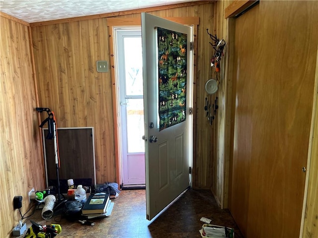 entryway featuring wooden walls and plenty of natural light