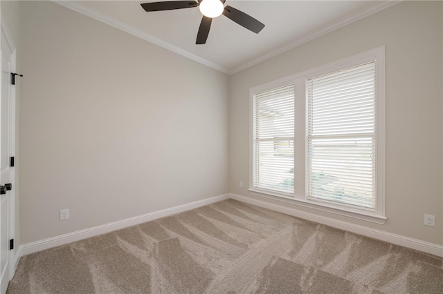 spare room featuring carpet, plenty of natural light, and crown molding