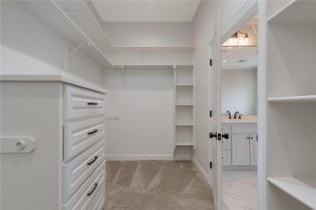 spacious closet with light carpet and sink