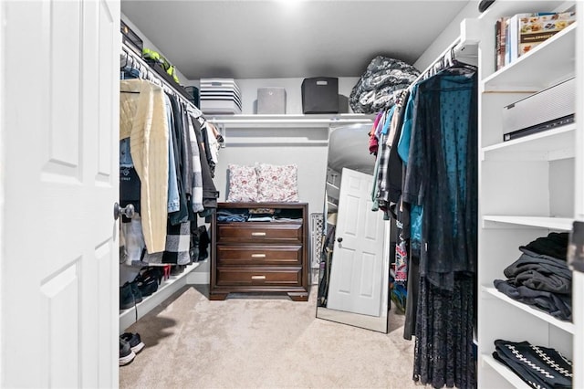 spacious closet with light carpet