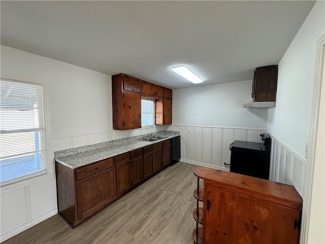 kitchen featuring dark brown cabinetry, sink, plenty of natural light, black dishwasher, and light hardwood / wood-style floors