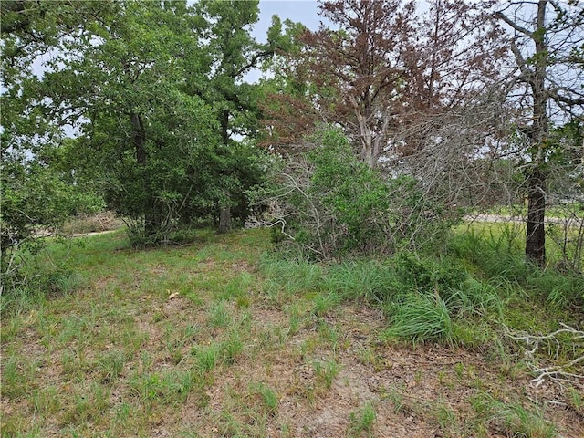 Listing photo 3 for LOT33 Apache Dr, Somerville TX 77879