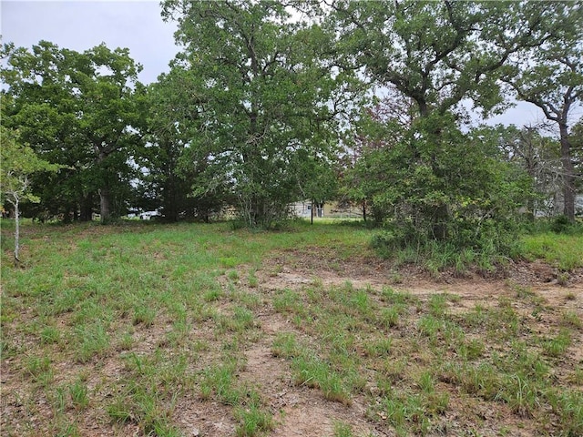 Listing photo 2 for LOT33 Apache Dr, Somerville TX 77879