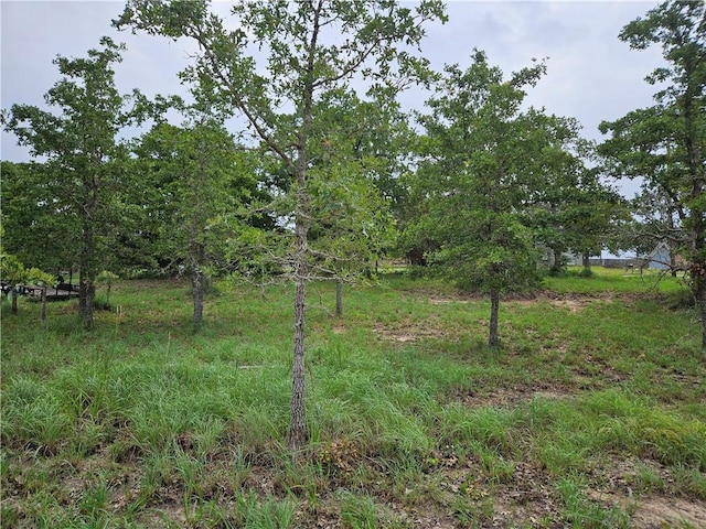 LOT33 Apache Dr, Somerville TX, 77879 land for sale