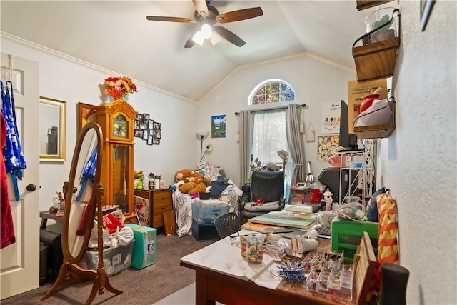 office with carpet, ceiling fan, lofted ceiling, and ornamental molding