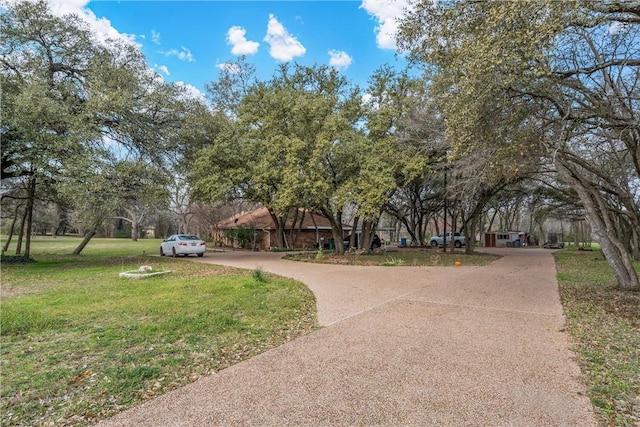 view of community featuring a yard