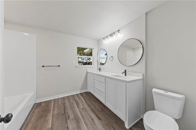 bathroom featuring vanity, wood-type flooring, and toilet