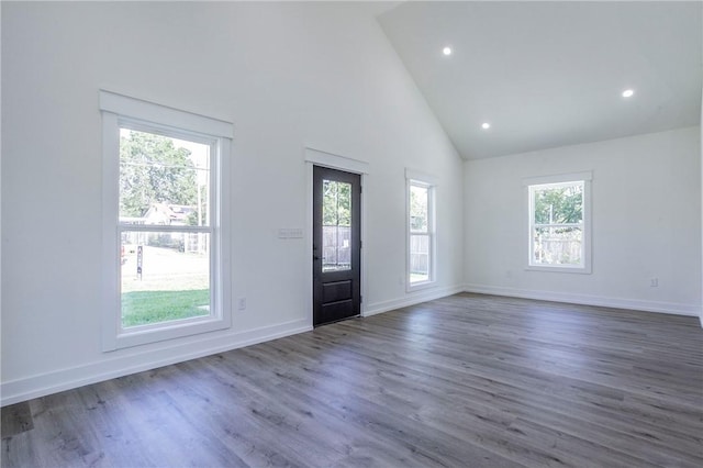 entryway featuring dark hardwood / wood-style flooring and high vaulted ceiling