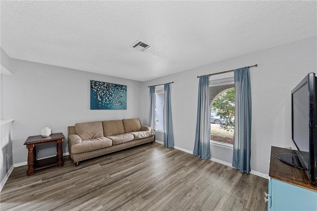 living room featuring wood-type flooring and a textured ceiling