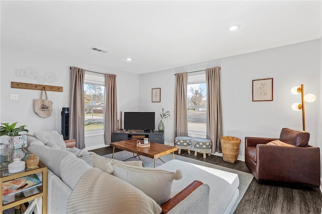 living room featuring hardwood / wood-style floors