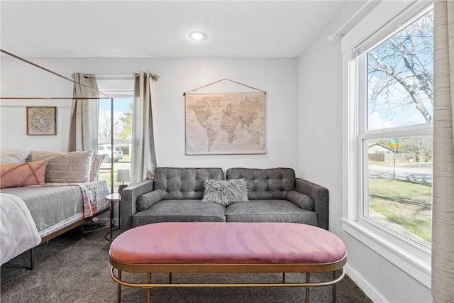 carpeted living room featuring a wealth of natural light