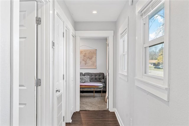 hall featuring dark wood-type flooring