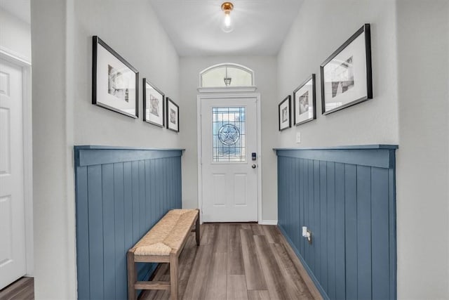 entryway featuring wood-type flooring