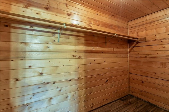 spacious closet with hardwood / wood-style floors