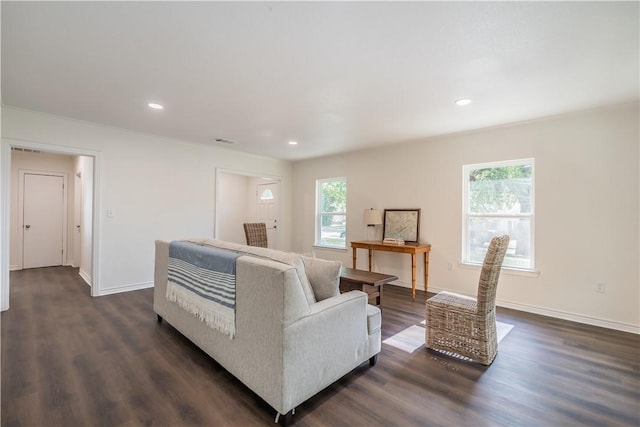 living room featuring dark hardwood / wood-style floors