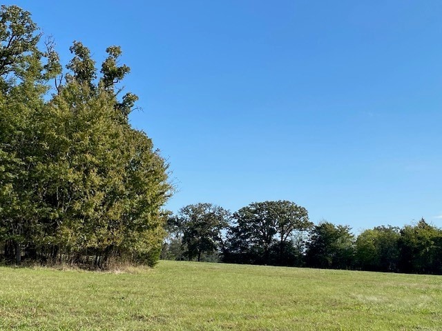 view of local wilderness