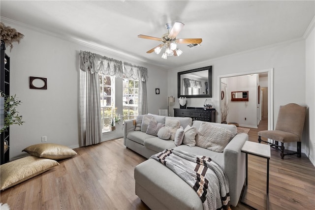 living room with a ceiling fan, light wood-type flooring, visible vents, and crown molding