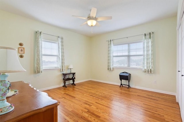 office space with ceiling fan, light hardwood / wood-style floors, and a wealth of natural light