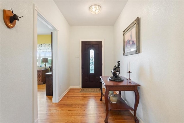 entryway with a healthy amount of sunlight and light hardwood / wood-style flooring