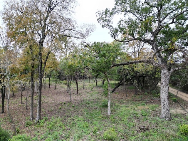 8029 N River Xing, China Spring TX, 76633 land for sale