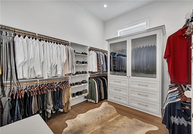 spacious closet featuring dark hardwood / wood-style flooring