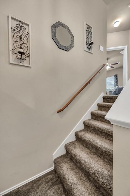 stairway featuring carpet and ceiling fan