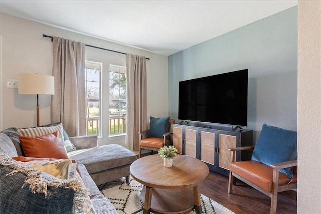 living room featuring hardwood / wood-style floors