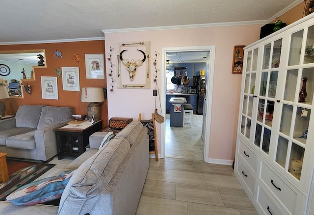 living room featuring a textured ceiling and crown molding