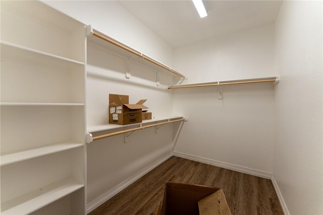 spacious closet featuring dark hardwood / wood-style floors